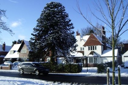 Get Your Home Ready For Winter, blog, windows, heating, celsius home improvments